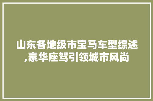 山东各地级市宝马车型综述,豪华座驾引领城市风尚  第1张