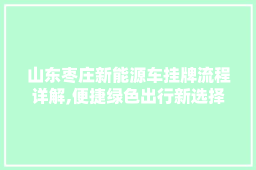 山东枣庄新能源车挂牌流程详解,便捷绿色出行新选择