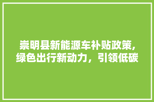 崇明县新能源车补贴政策,绿色出行新动力，引领低碳生活新风尚