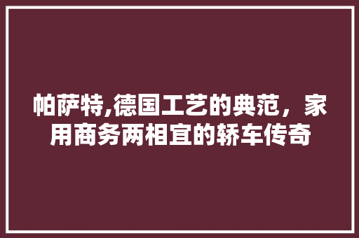 帕萨特,德国工艺的典范，家用商务两相宜的轿车传奇  第1张