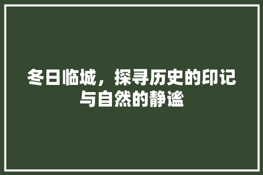 冬日临城，探寻历史的印记与自然的静谧