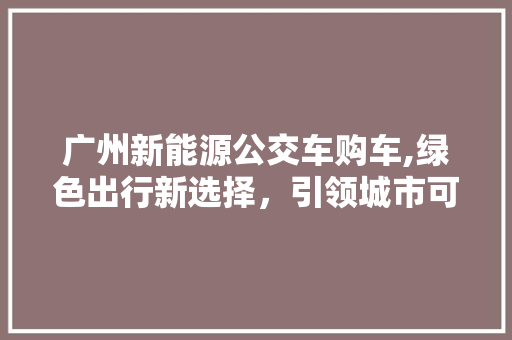 广州新能源公交车购车,绿色出行新选择，引领城市可持续发展  第1张