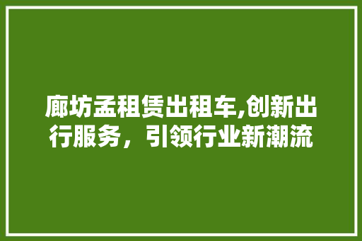 廊坊孟租赁出租车,创新出行服务，引领行业新潮流  第1张