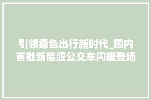 引领绿色出行新时代_国内首批新能源公交车闪耀登场  第1张