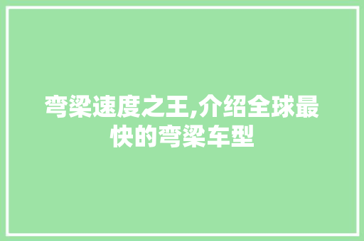 弯梁速度之王,介绍全球最快的弯梁车型