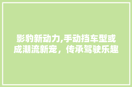 影豹新动力,手动挡车型或成潮流新宠，传承驾驶乐趣