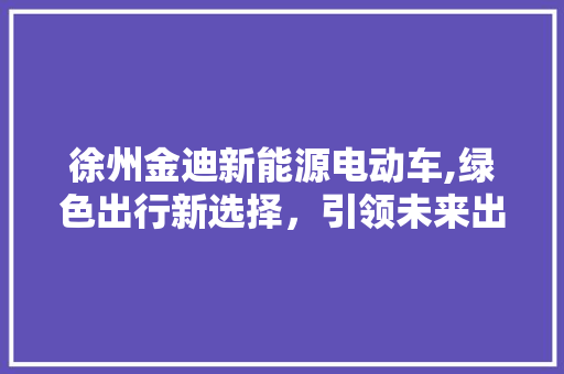 徐州金迪新能源电动车,绿色出行新选择，引领未来出行潮流