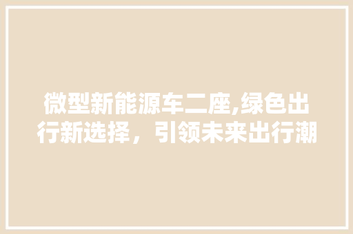 微型新能源车二座,绿色出行新选择，引领未来出行潮流  第1张