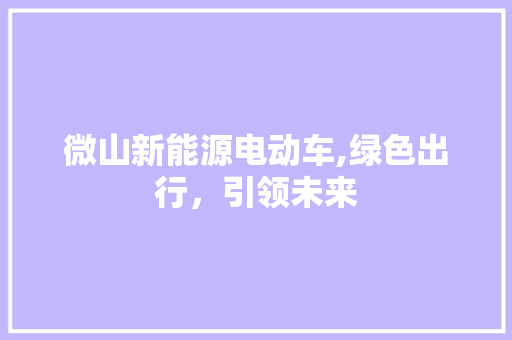 微山新能源电动车,绿色出行，引领未来  第1张