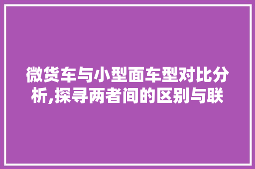 微货车与小型面车型对比分析,探寻两者间的区别与联系