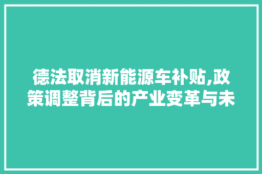 德法取消新能源车补贴,政策调整背后的产业变革与未来展望  第1张