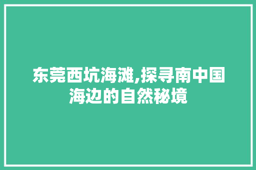 东莞西坑海滩,探寻南中国海边的自然秘境