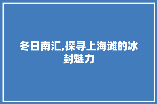 冬日南汇,探寻上海滩的冰封魅力