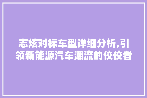 志炫对标车型详细分析,引领新能源汽车潮流的佼佼者  第1张