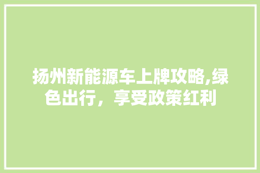 扬州新能源车上牌攻略,绿色出行，享受政策红利  第1张