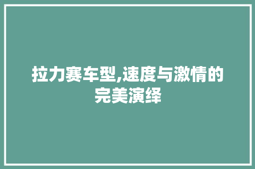 拉力赛车型,速度与激情的完美演绎  第1张