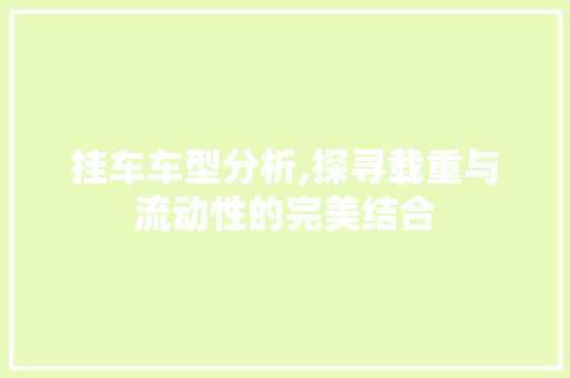 挂车车型分析,探寻载重与流动性的完美结合