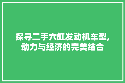 探寻二手六缸发动机车型,动力与经济的完美结合  第1张