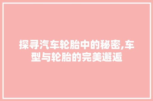 探寻汽车轮胎中的秘密,车型与轮胎的完美邂逅  第1张