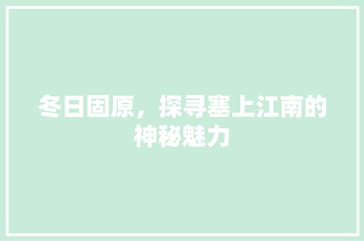 冬日固原，探寻塞上江南的神秘魅力