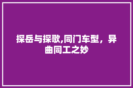 探岳与探歌,同门车型，异曲同工之妙  第1张