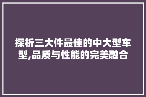 探析三大件最佳的中大型车型,品质与性能的完美融合