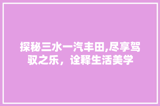 探秘三水一汽丰田,尽享驾驭之乐，诠释生活美学