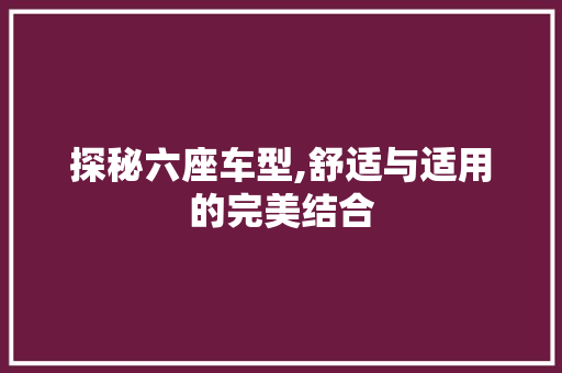 探秘六座车型,舒适与适用的完美结合  第1张