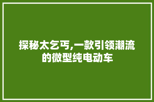 探秘太乞丐,一款引领潮流的微型纯电动车