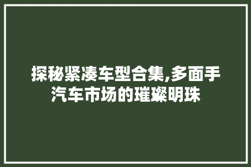 探秘紧凑车型合集,多面手汽车市场的璀璨明珠  第1张