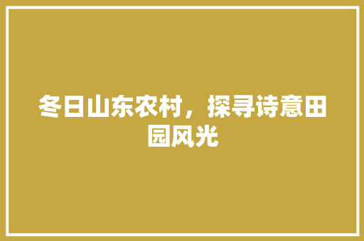 冬日山东农村，探寻诗意田园风光