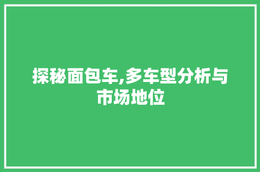 探秘面包车,多车型分析与市场地位