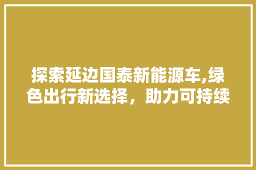 探索延边国泰新能源车,绿色出行新选择，助力可持续发展