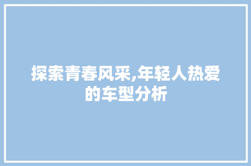 探索青春风采,年轻人热爱的车型分析  第1张