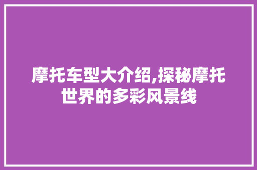 摩托车型大介绍,探秘摩托世界的多彩风景线