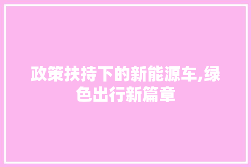 政策扶持下的新能源车,绿色出行新篇章  第1张