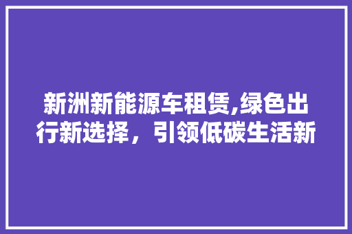 新洲新能源车租赁,绿色出行新选择，引领低碳生活新风尚