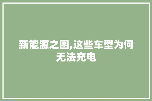 新能源之困,这些车型为何无法充电  第1张