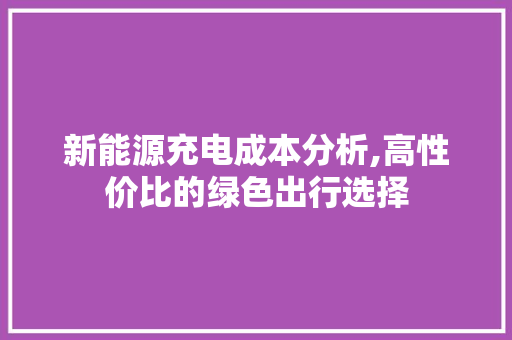 新能源充电成本分析,高性价比的绿色出行选择  第1张