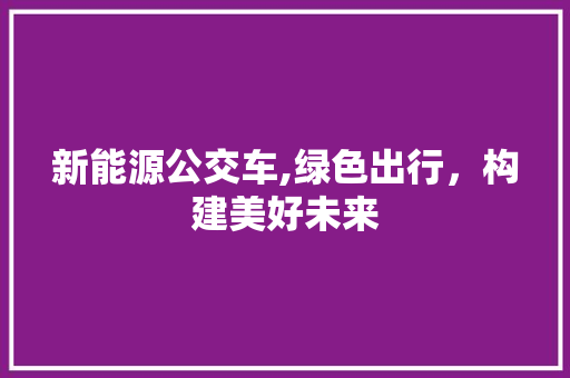 新能源公交车,绿色出行，构建美好未来  第1张