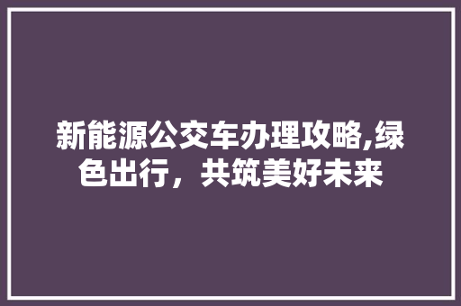 新能源公交车办理攻略,绿色出行，共筑美好未来  第1张