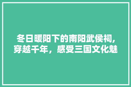 冬日暖阳下的南阳武侯祠,穿越千年，感受三国文化魅力