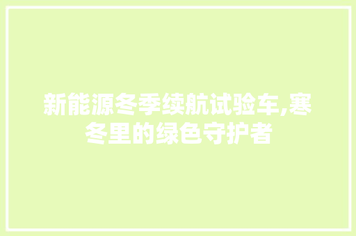 新能源冬季续航试验车,寒冬里的绿色守护者