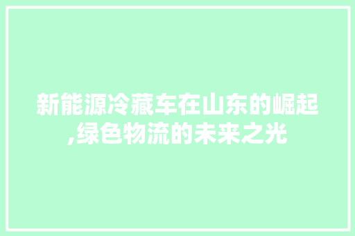 新能源冷藏车在山东的崛起,绿色物流的未来之光