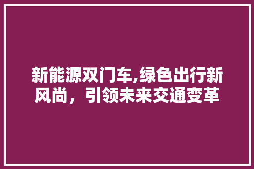 新能源双门车,绿色出行新风尚，引领未来交通变革