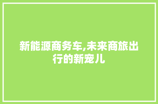 新能源商务车,未来商旅出行的新宠儿  第1张