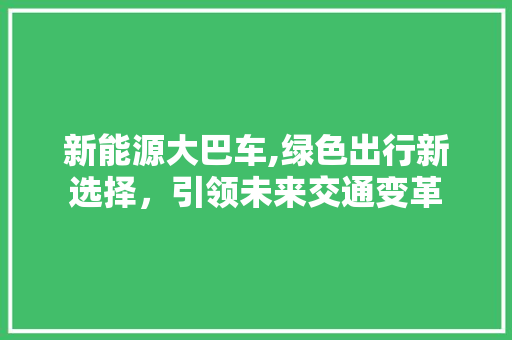 新能源大巴车,绿色出行新选择，引领未来交通变革