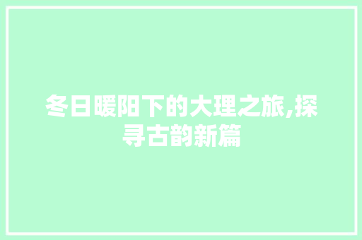 冬日暖阳下的大理之旅,探寻古韵新篇