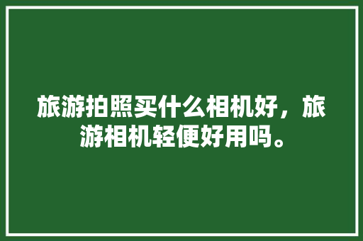 旅游拍照买什么相机好，旅游相机轻便好用吗。