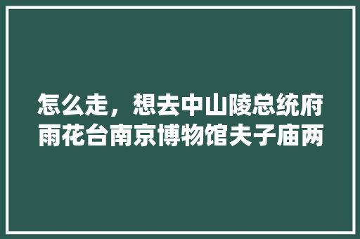 怎么走，想去中山陵总统府雨花台南京博物馆夫子庙两天一夜，南京一天一夜旅游攻略最佳路线。